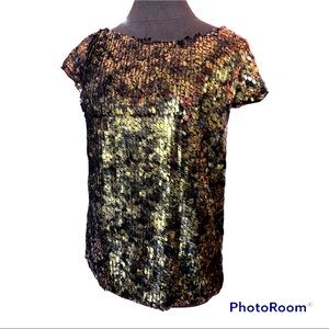Sparkle Sequins Copious size 12 Blouse